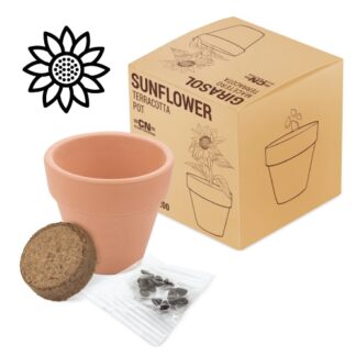 Maceta terracota girasol "floral"