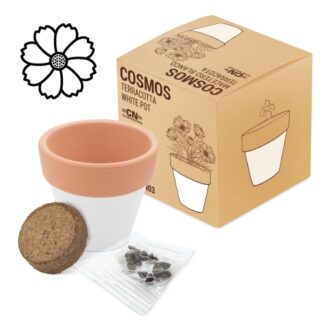 Vaso terracota "white"