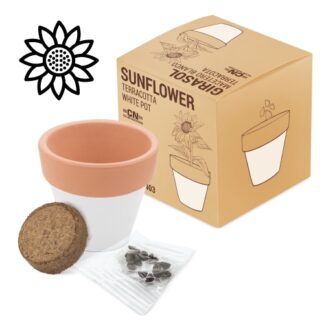 Vaso terracota "white"