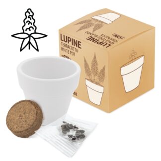 Vaso terracota "white"